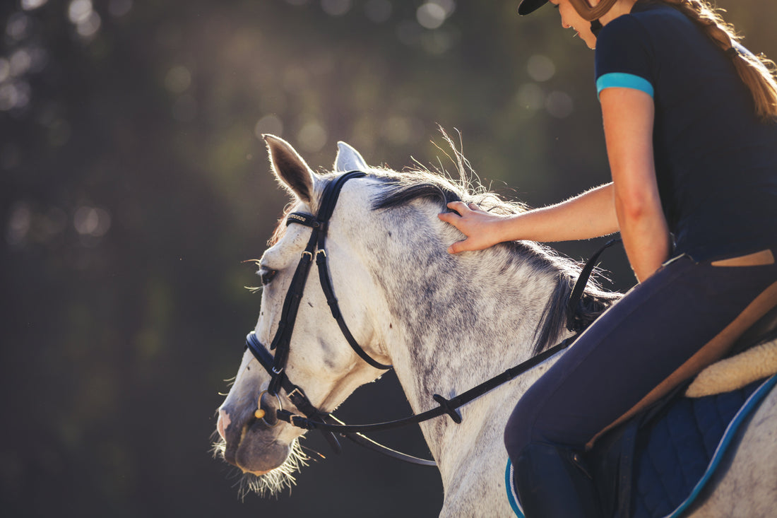 Spent hest? Hest med nerver? Fluer i hodet? Prøv Cool It