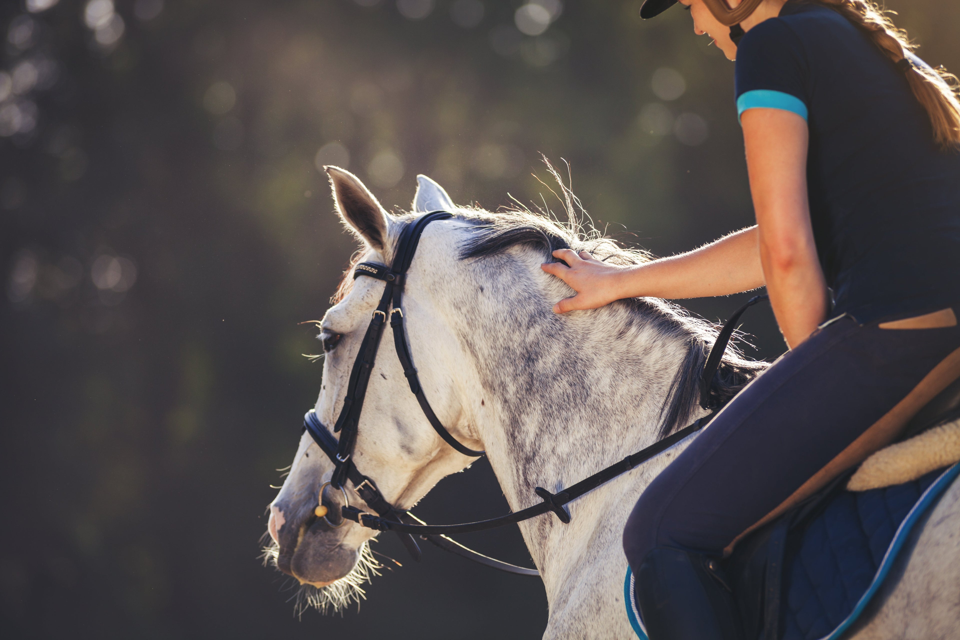 Spent hest? Hest med nerver? Fluer i hodet? Prøv Cool It
