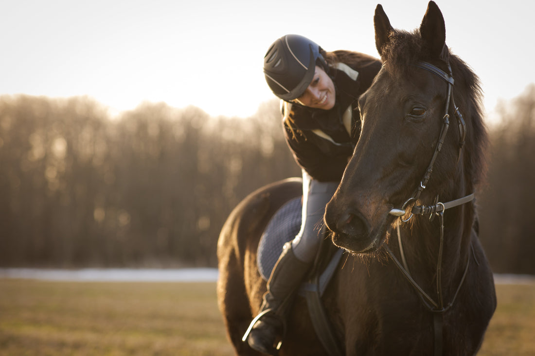 "En glad hest er en sunn hest. Hvordan sikre din hest en god mental helse"