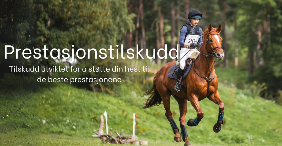 Vitamin E: Den Hemmelige Vidunderstoffet for Prestasjonshester