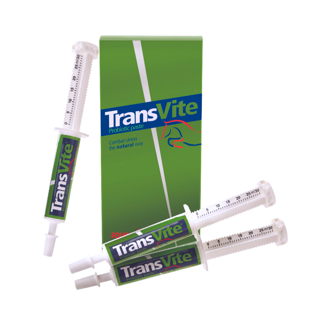 Transvite Paste - Konsentrert probiotisk pasta for stressperioder og unghester
