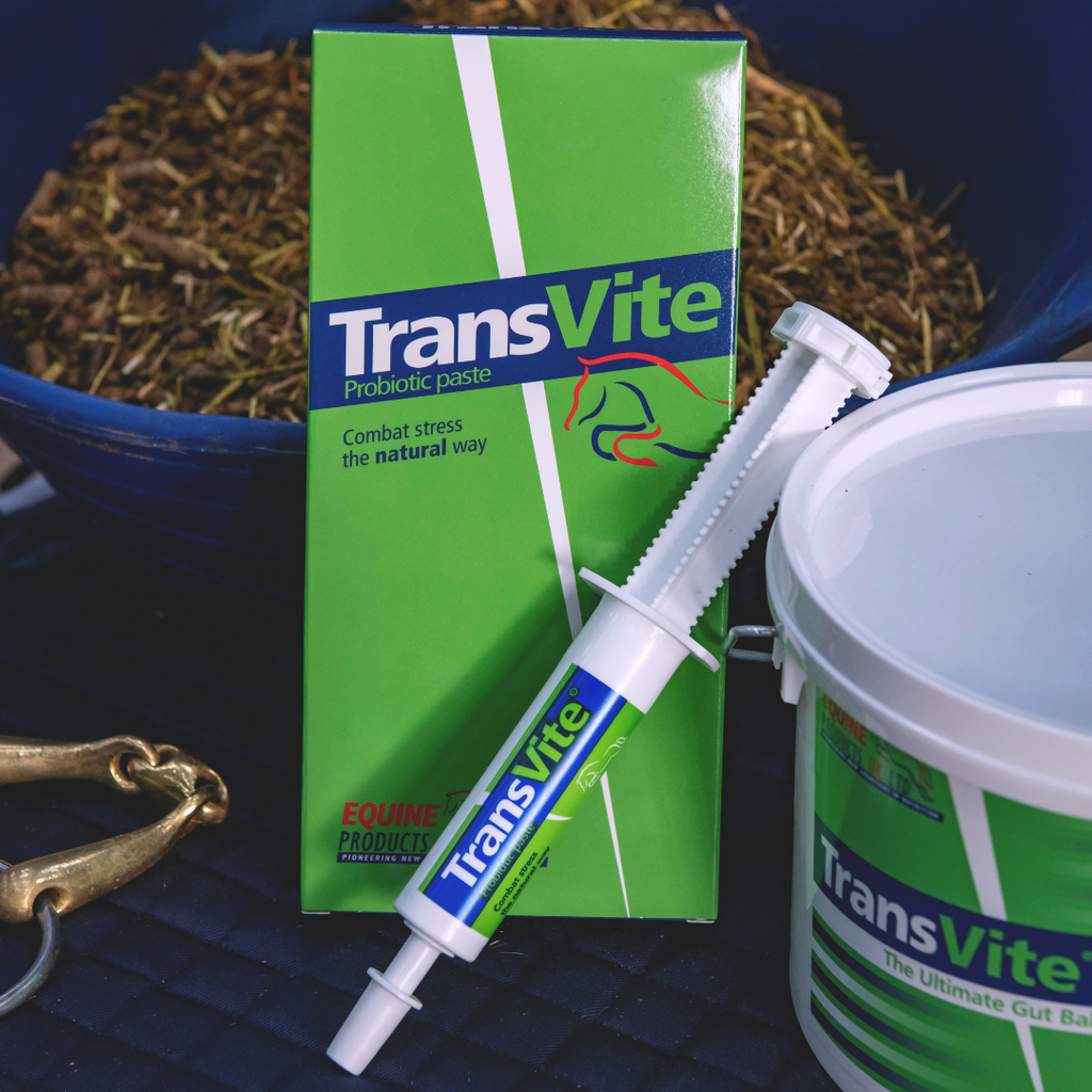 Transvite Paste - Konsentrert probiotisk pasta for stressperioder og unghester
