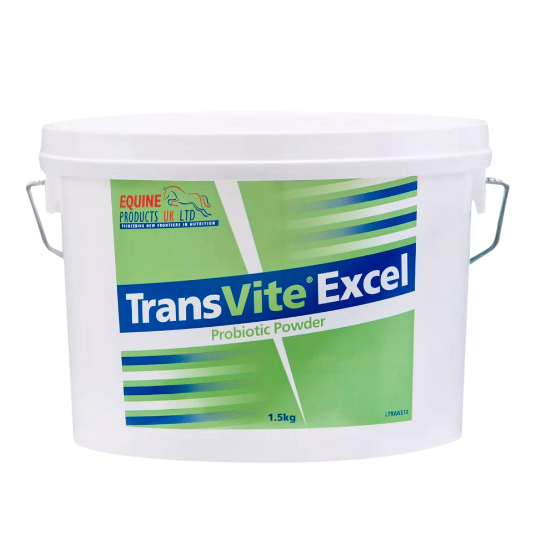 Transvite Excel – høykonsentrert probiotisk og prebiotisk støtte for tarmfloraen