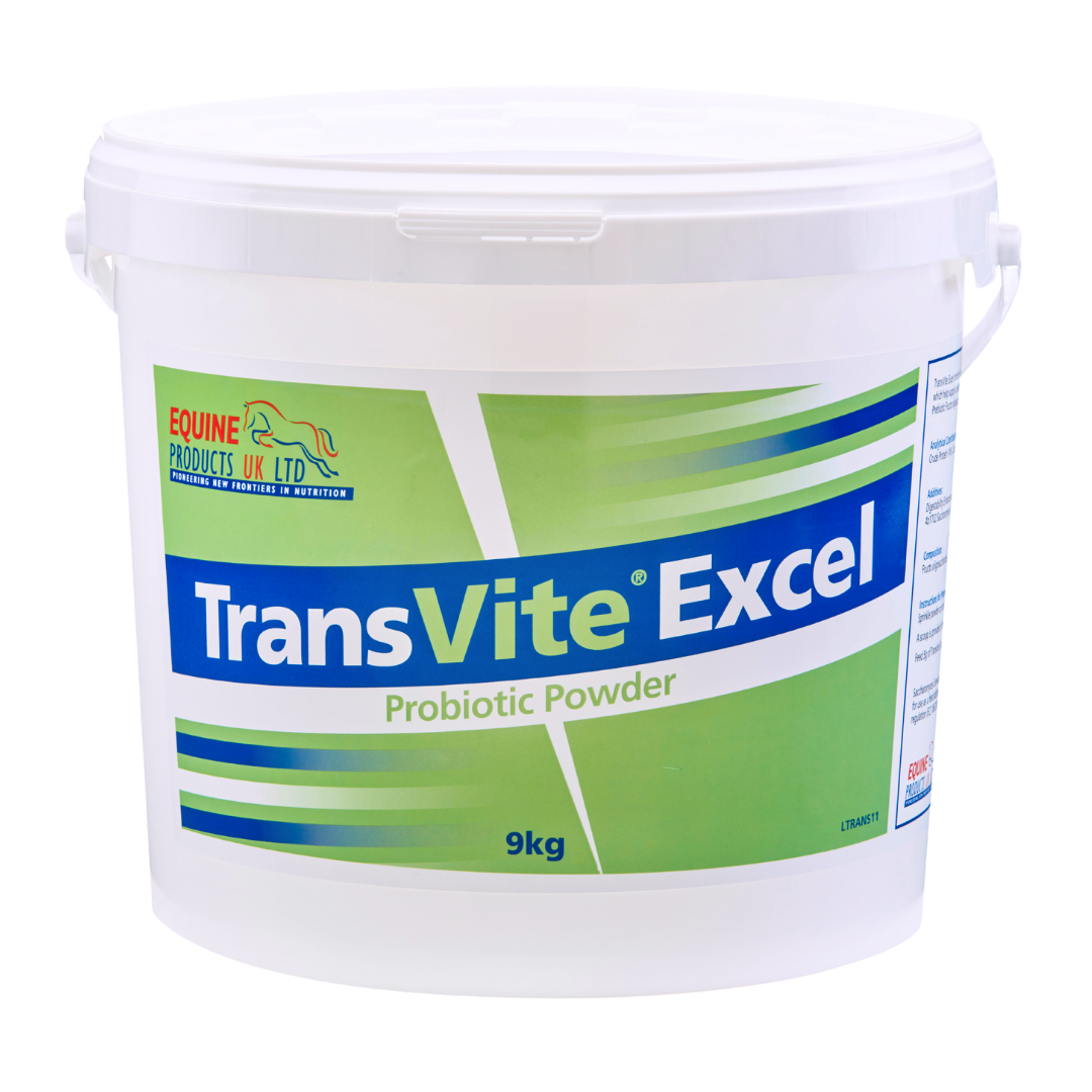 Transvite Excel – høykonsentrert probiotisk og prebiotisk støtte for tarmfloraen