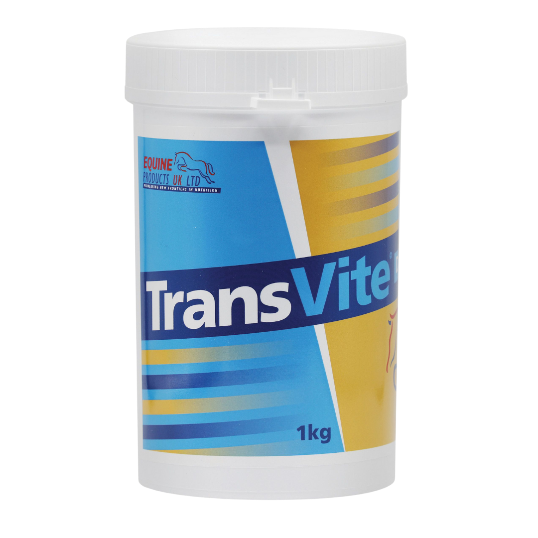 Transvite Gut Balancer – daglig probiotisk og prebiotisk støtte for tarmfloraen
