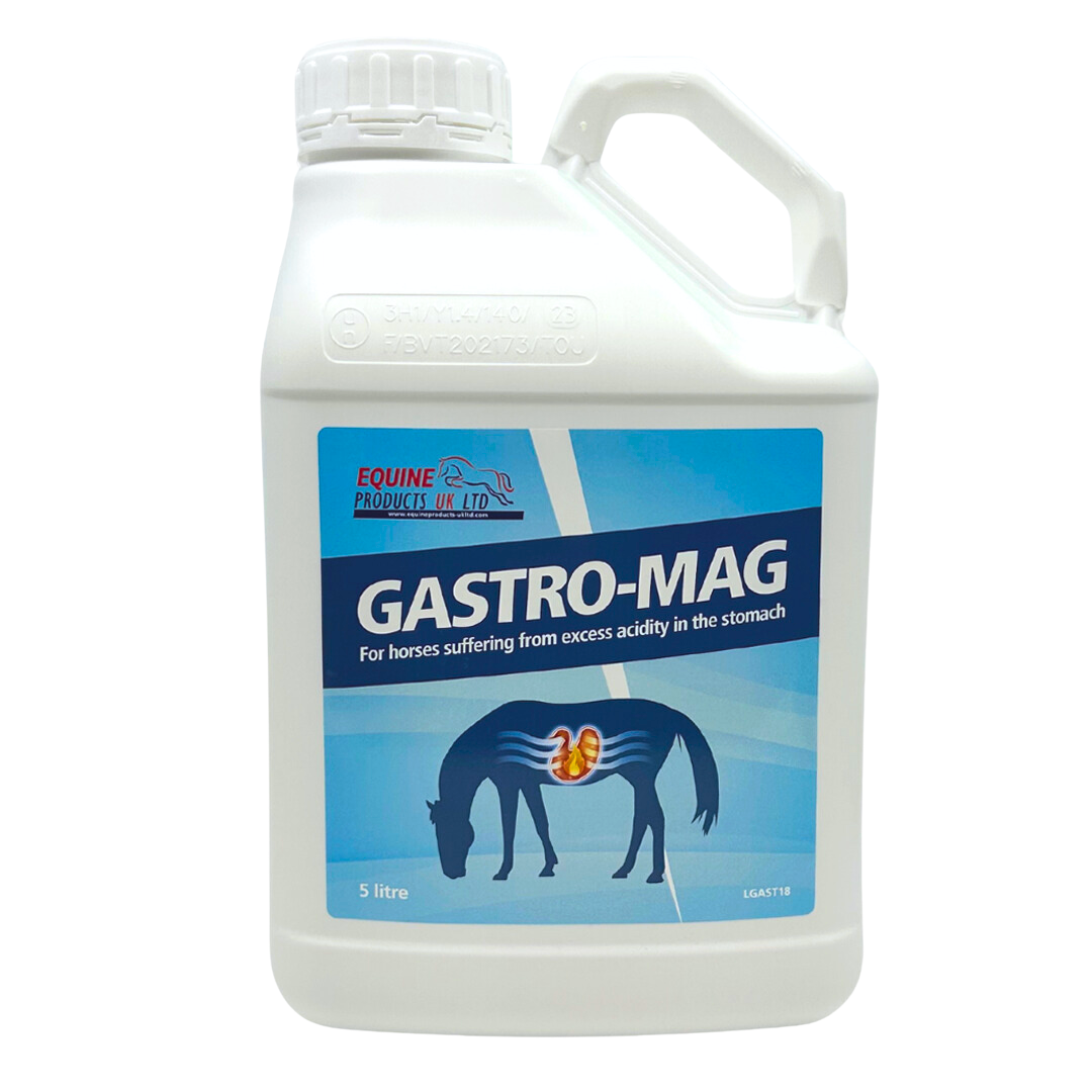Gastro-Mag – HelseHests bestselgende syrebuffer for en roligere og mer komfortabel mage