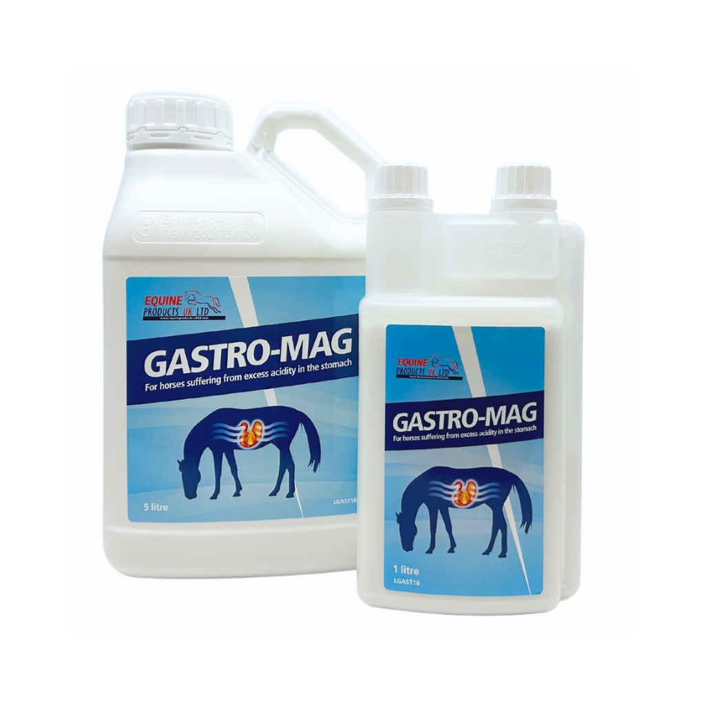 Gastro-Mag – HelseHests bestselgende syrebuffer for en roligere og mer komfortabel mage