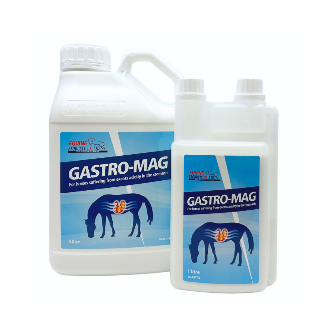 Gastro-Mag – HelseHests bestselgende syrebuffer for en roligere og mer komfortabel mage