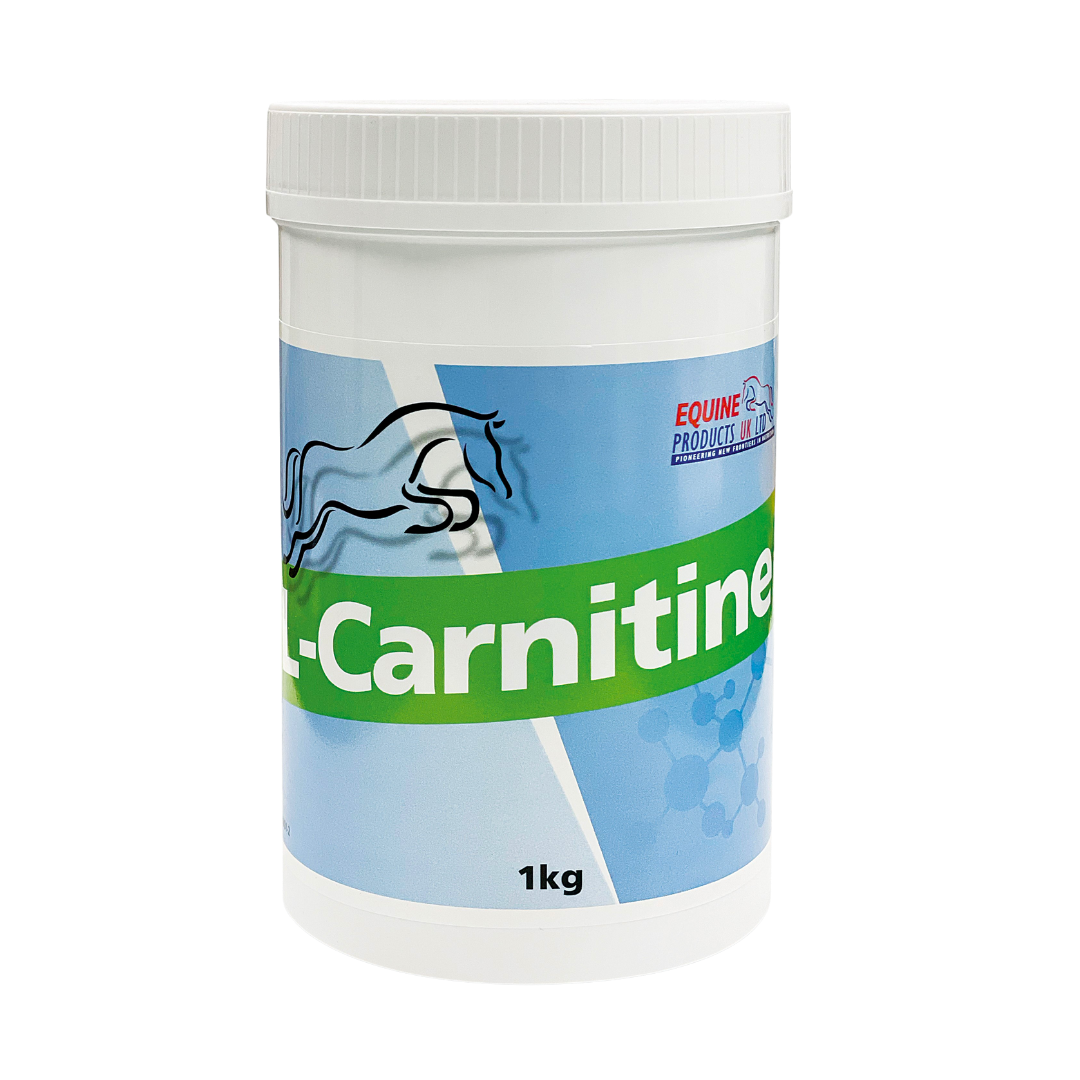 L-Carnitine – målrettet støtte for fettomsetning, utholdenhet og muskelenergi